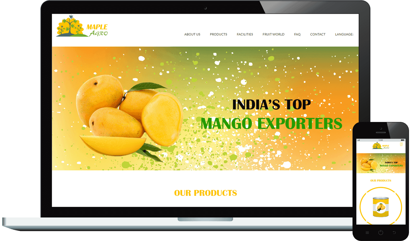 project-image