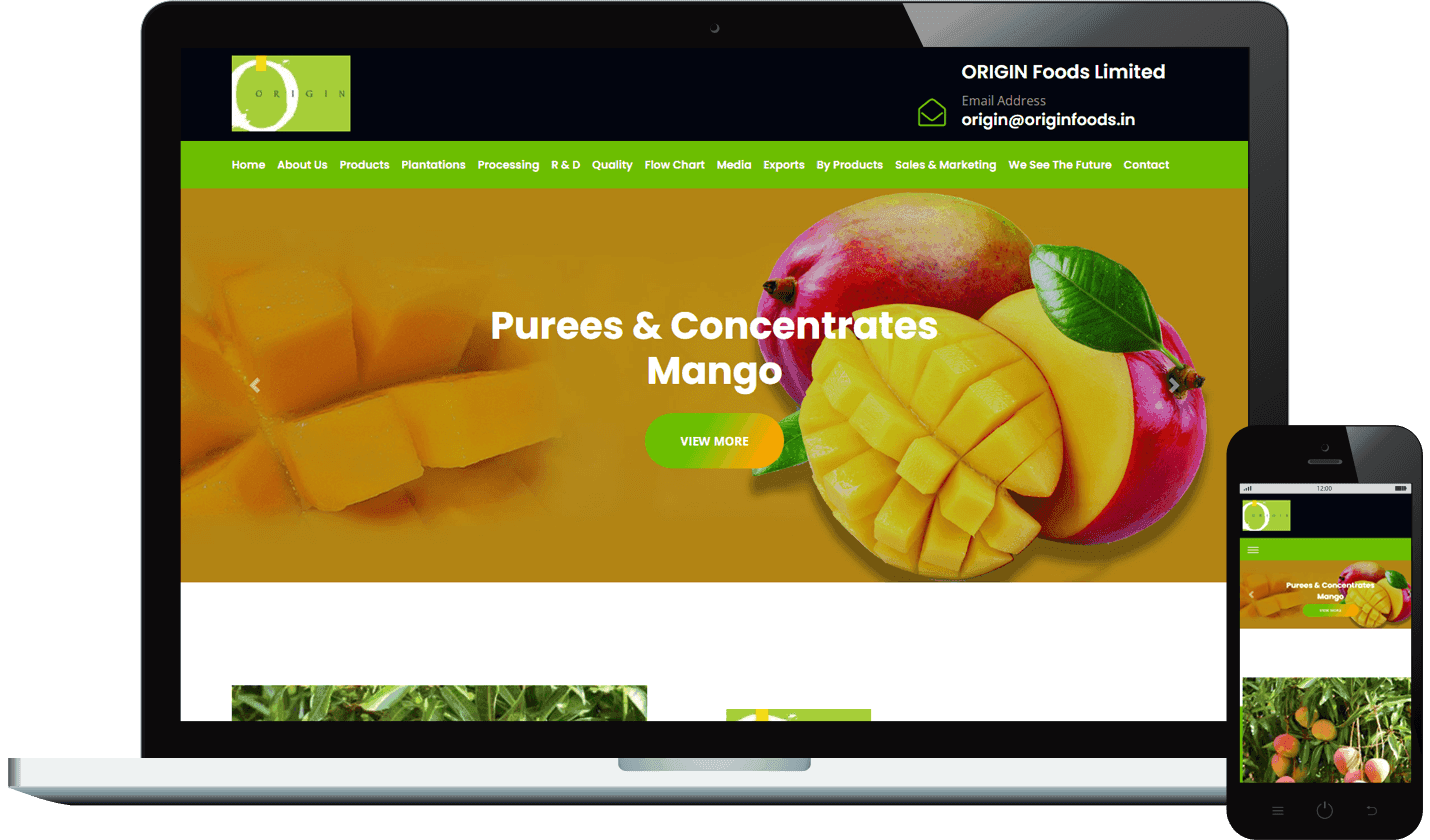 project-image